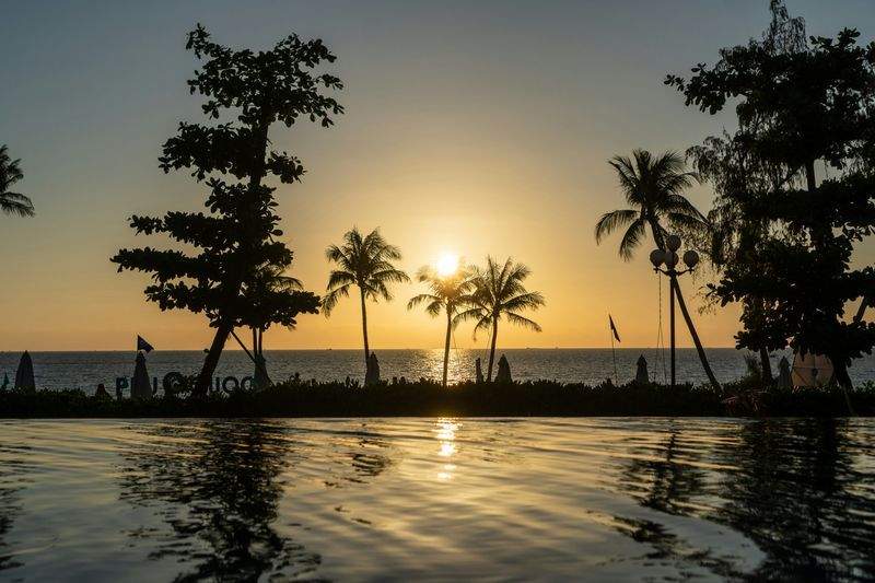 Golden Horizon Sunset Club 4
