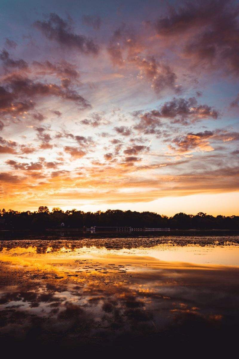 Golden Horizon Sunset Club 7