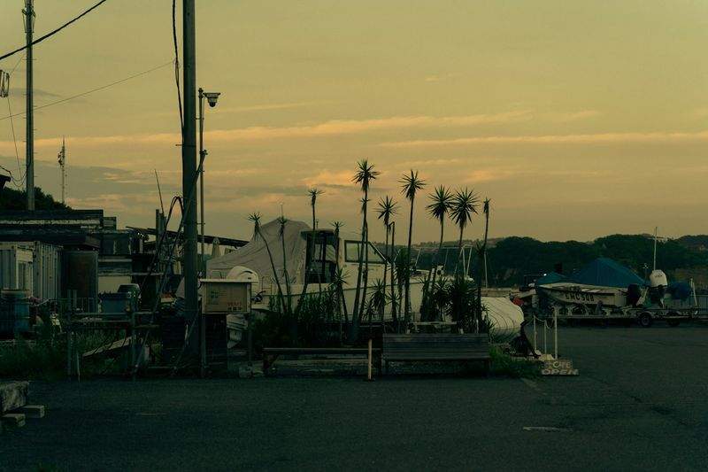 Golden Horizon Sunset Club 9